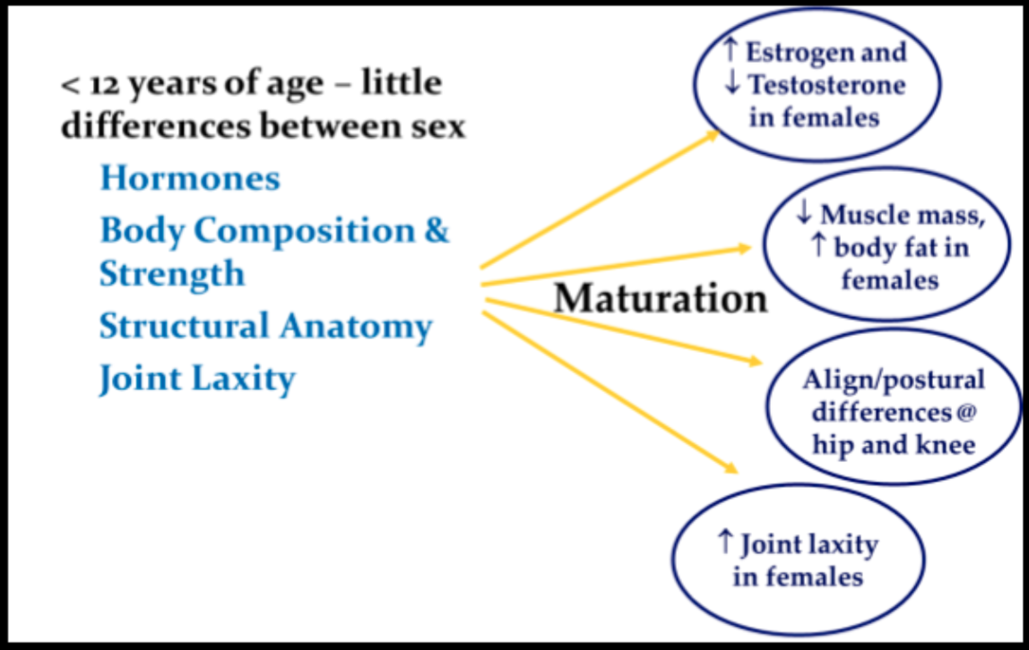 Screenshot 2025-11-18 at 10.10.03 AM.png